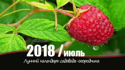 лунный календарь рыбака на 2019 год